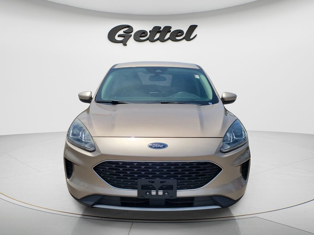 Used 2020 Ford Escape SE FWD image 2