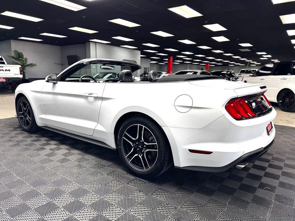 Used 2019 Ford Mustang Premium RWD image 9