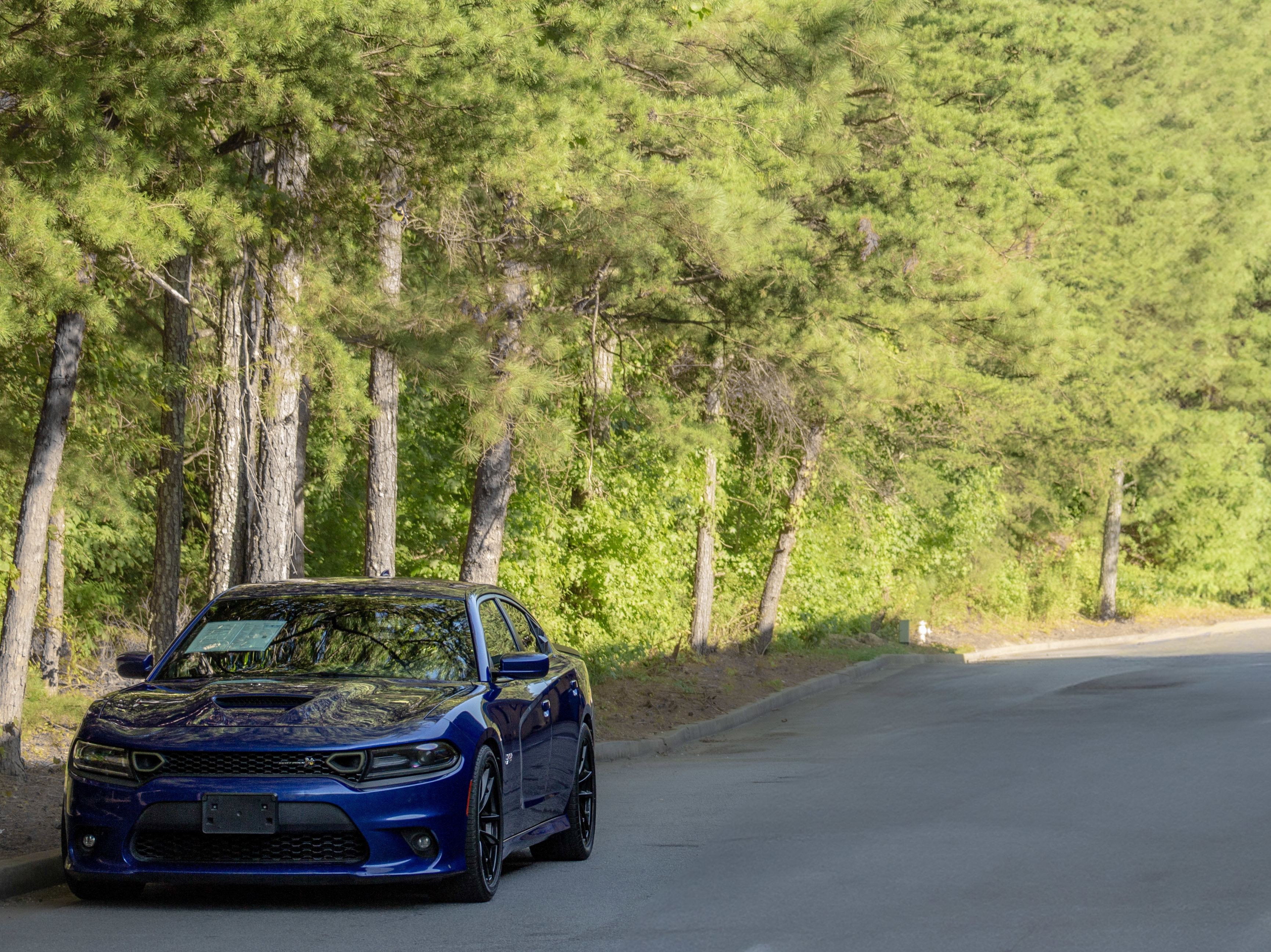 Used 2019 Dodge Charger Scat Pack image 40