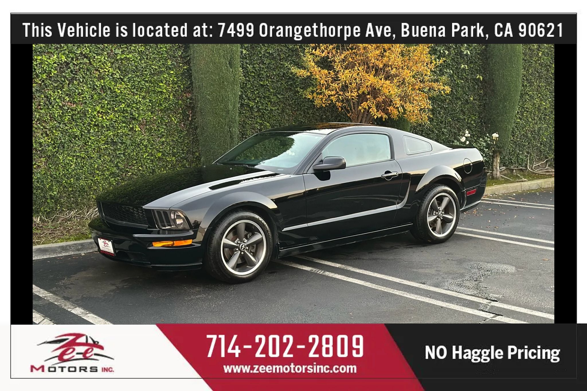 Used 2009 Ford Mustang GT Premium image 12