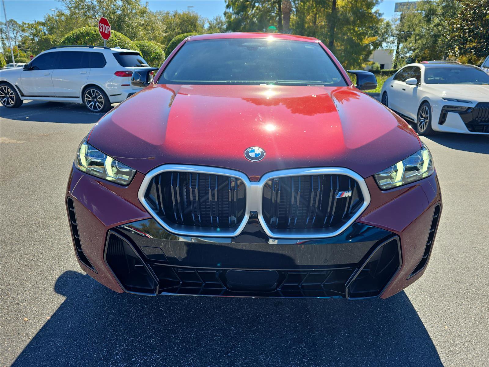 Used 2025 BMW X6 M60i image 6