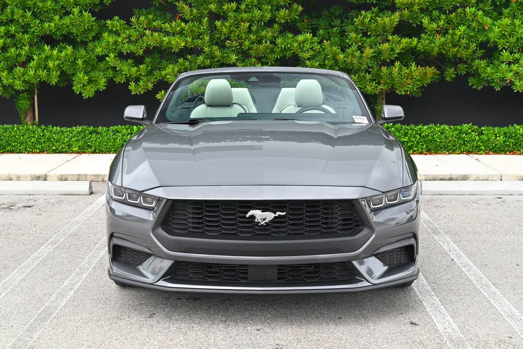 Used 2024 Ford Mustang Premium RWD image 2