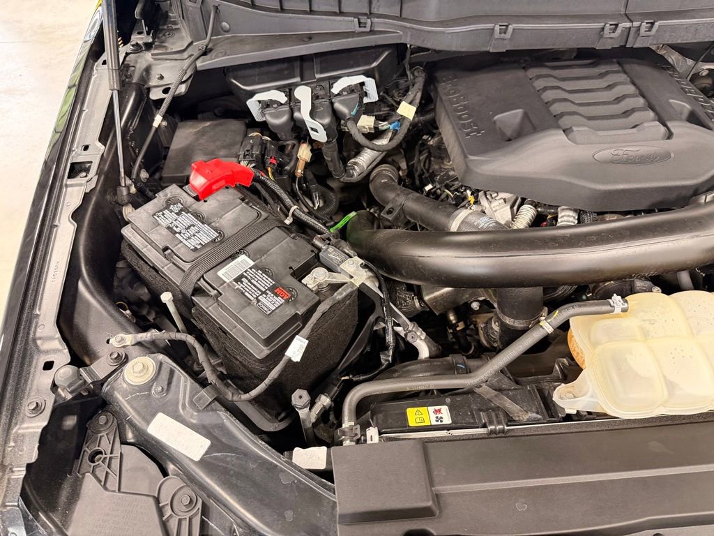 Used 2023 Ford F150 Tremor image 32