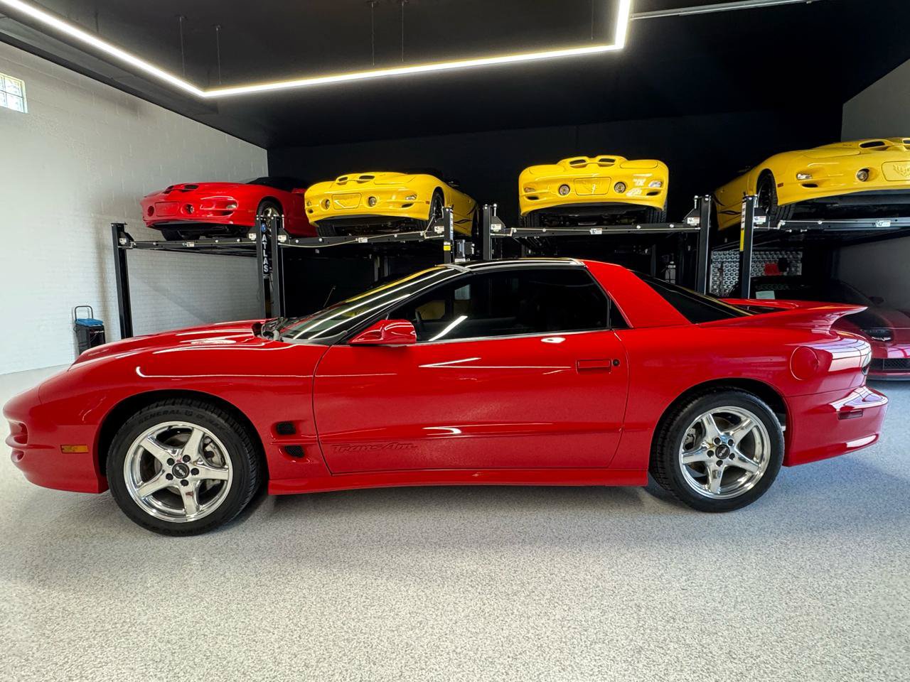 Used 1999 Pontiac Firebird Formula RWD image 9