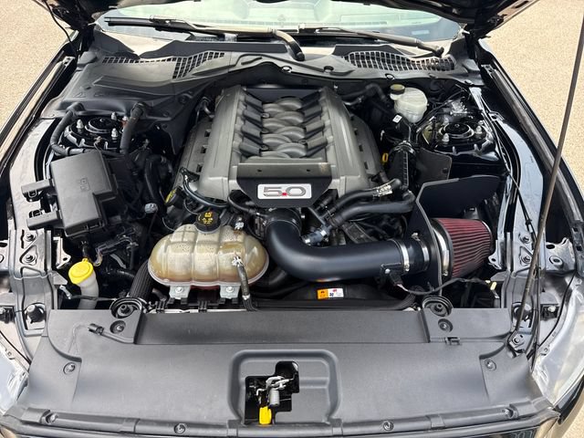 Used 2015 Ford Mustang GT Premium w/ 50 Years Appearance Package RWD image 22