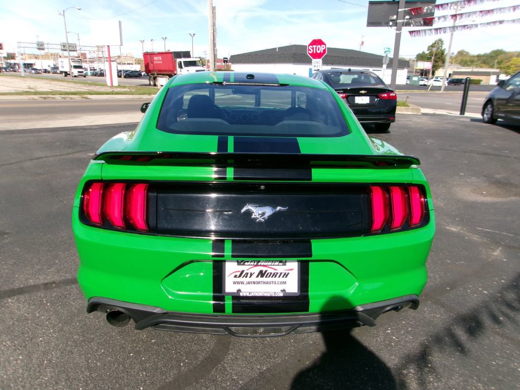 Used 2019 Ford Mustang Coupe image 5