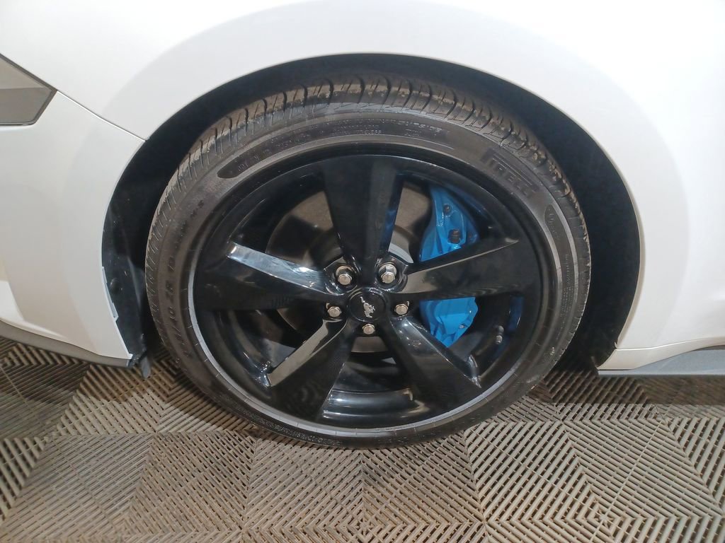 Used 2023 Ford Mustang GT Premium w/ Mustang Nite Pony Package image 18