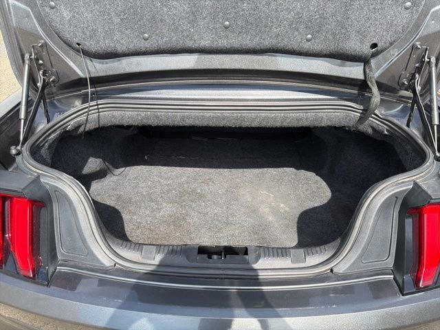 Used 2019 Ford Mustang GT Premium w/ Equipment Group 401A image 24