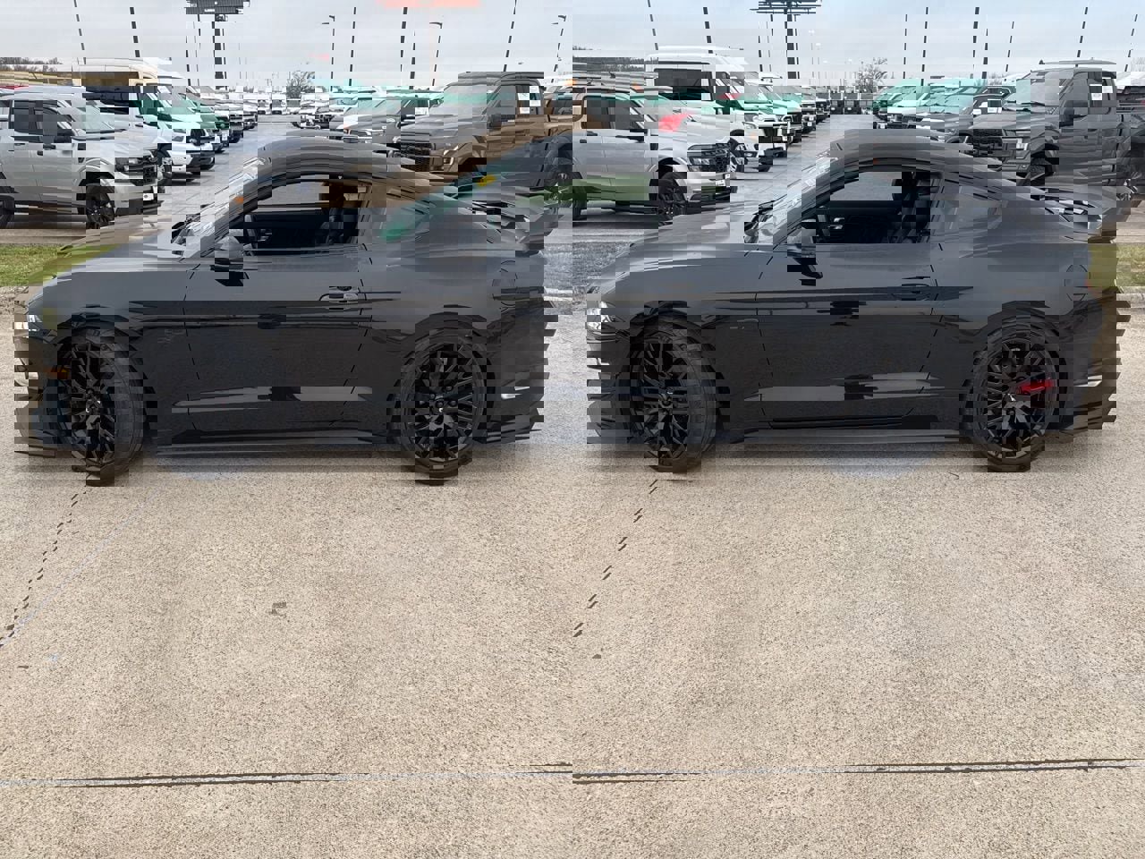 Used 2019 Ford Mustang GT Premium w/ GT Performance Package image 3