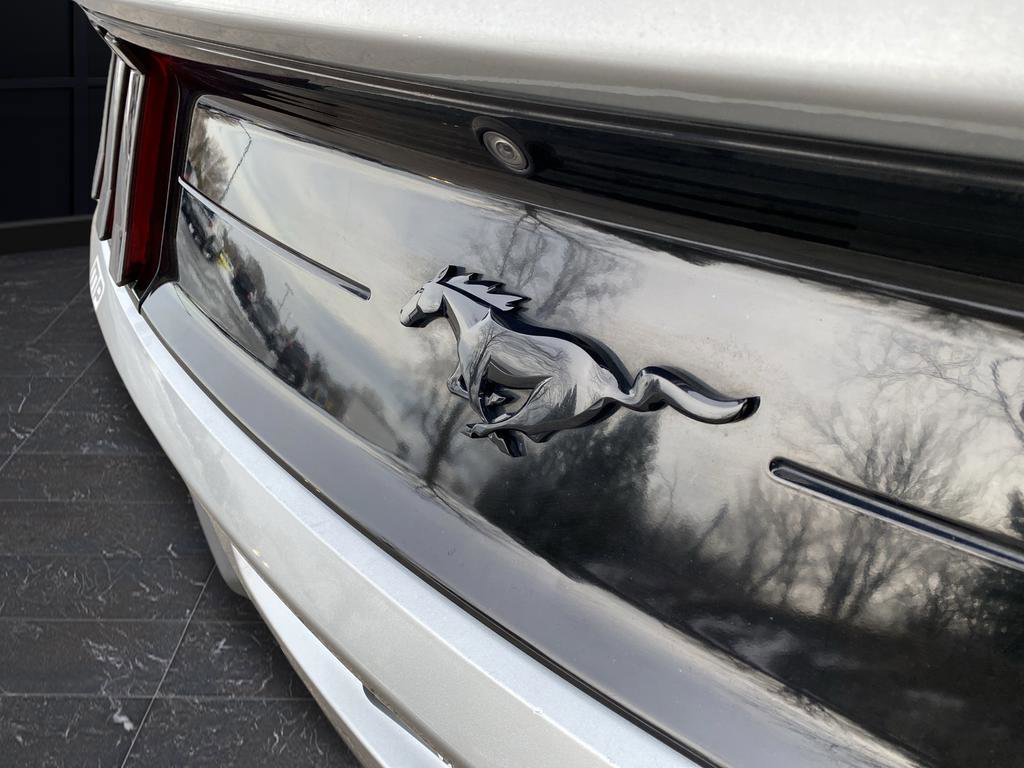 Used 2020 Ford Mustang EcoBoost w/ Equipment Group 101A image 40