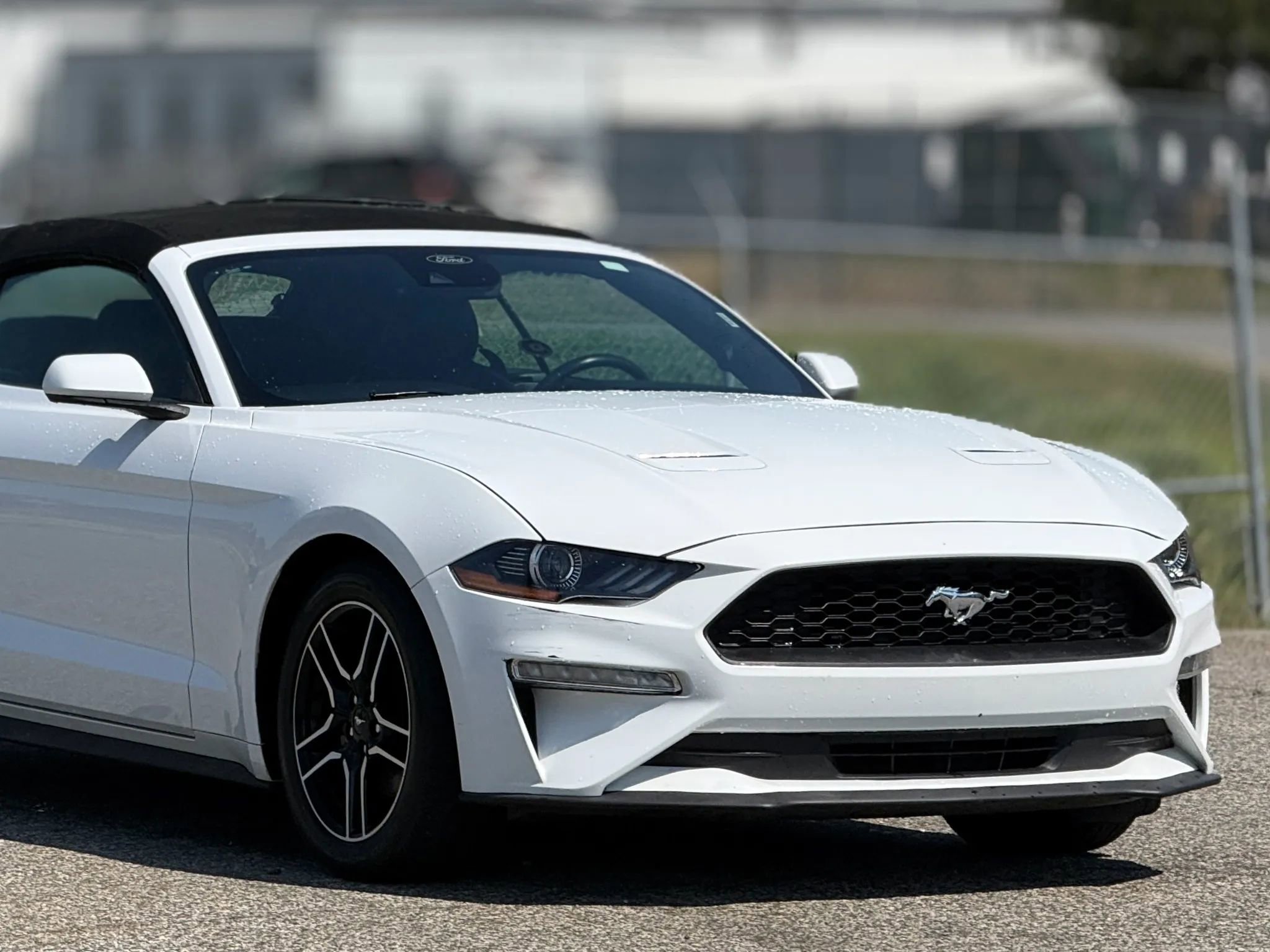 Used 2023 Ford Mustang Premium RWD image 15