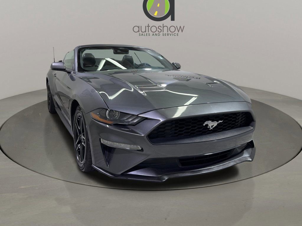 Used 2022 Ford Mustang Premium w/ Equipment Group 201A image 1