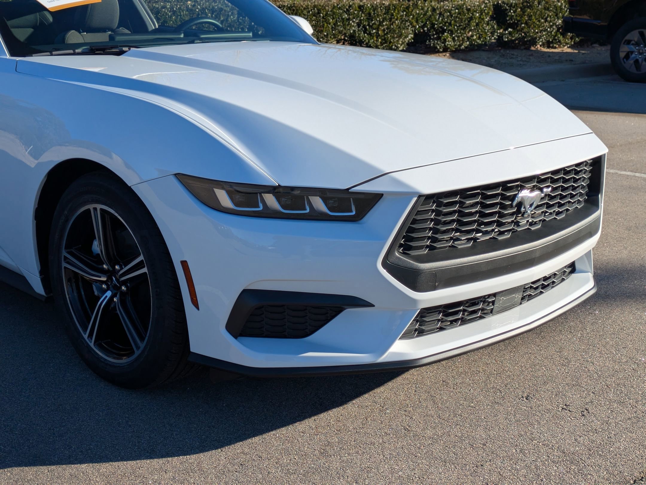 Certified 2025 Ford Mustang Coupe image 10