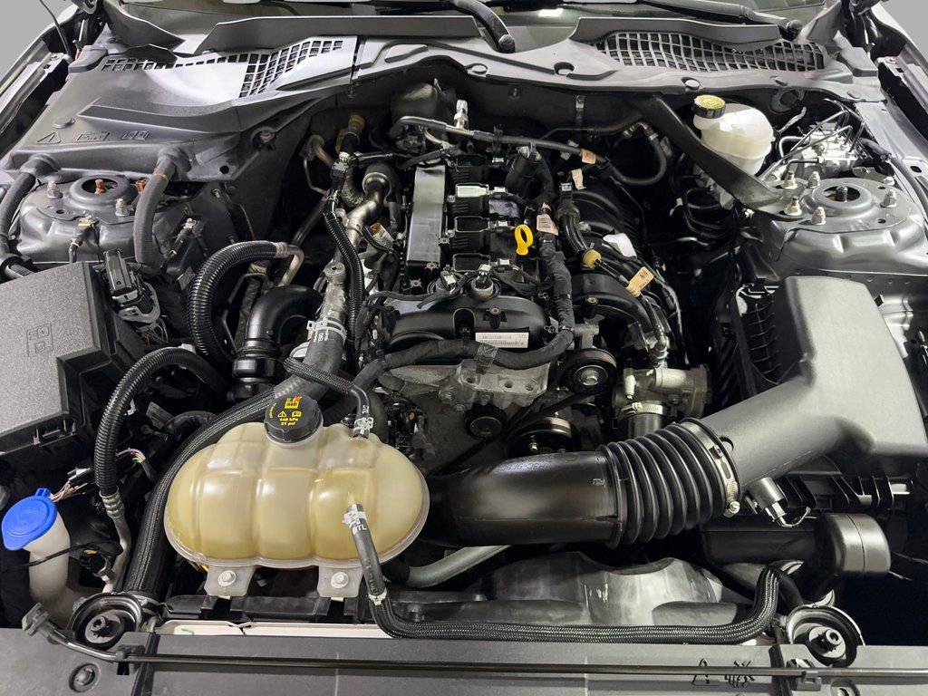 Used 2022 Ford Mustang Premium w/ Equipment Group 201A image 20