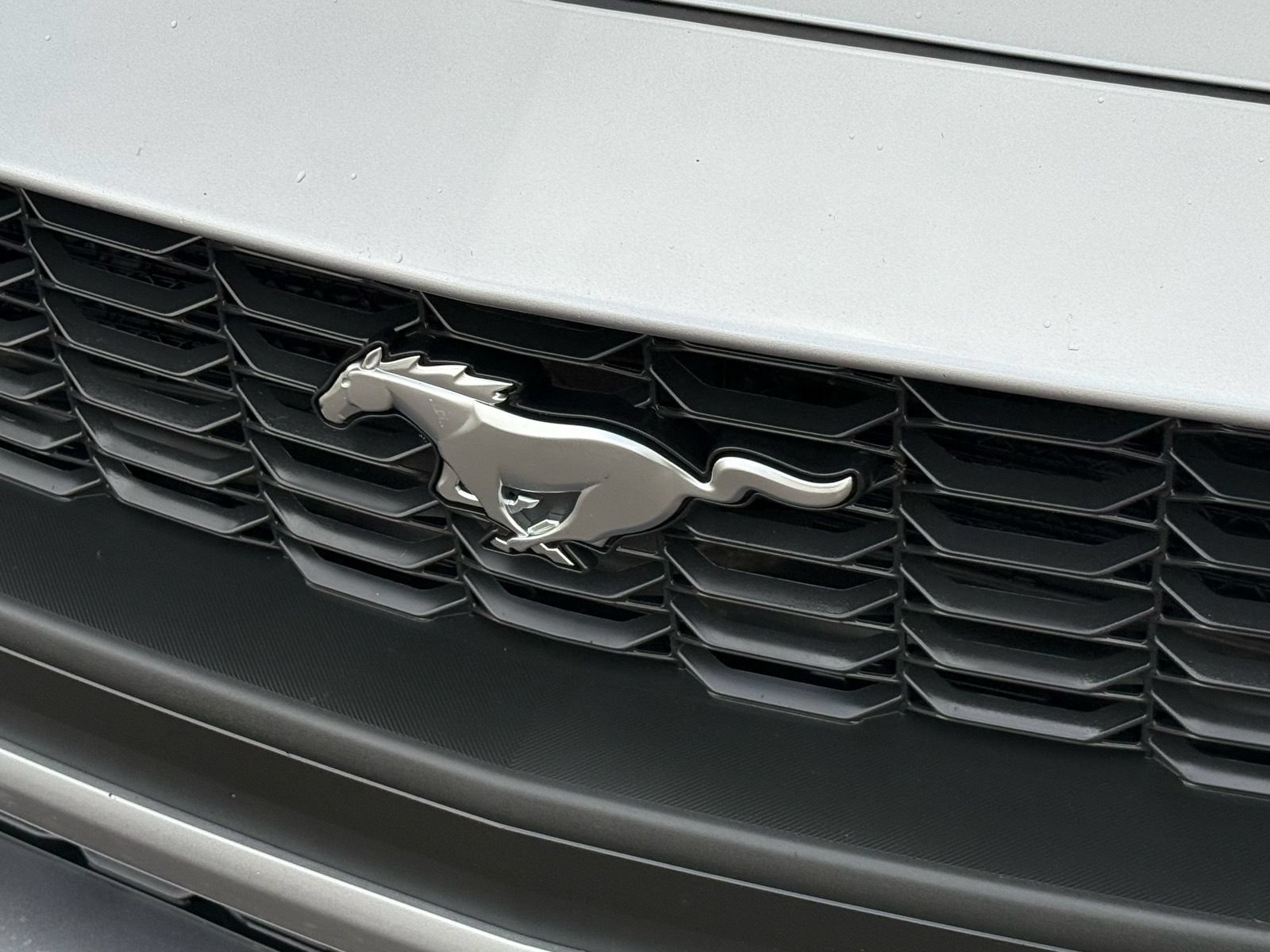 Used 2024 Ford Mustang Premium RWD image 33