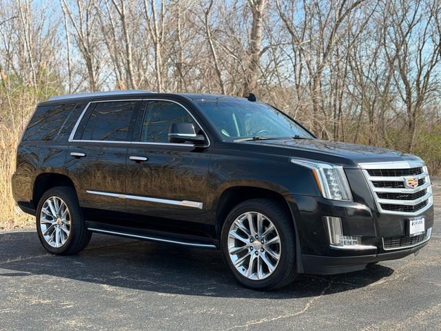 Used 2019 Cadillac Escalade Luxury image 5