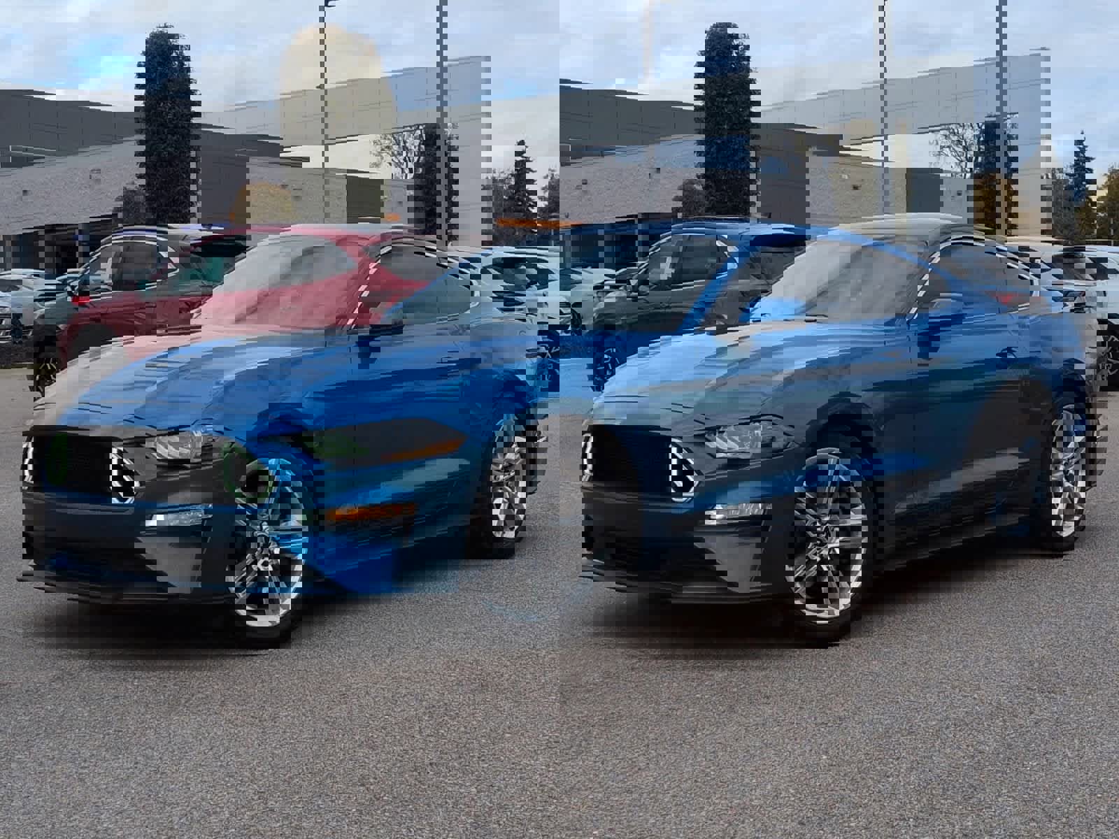 Used 2019 Ford Mustang Premium w/ Pony Package