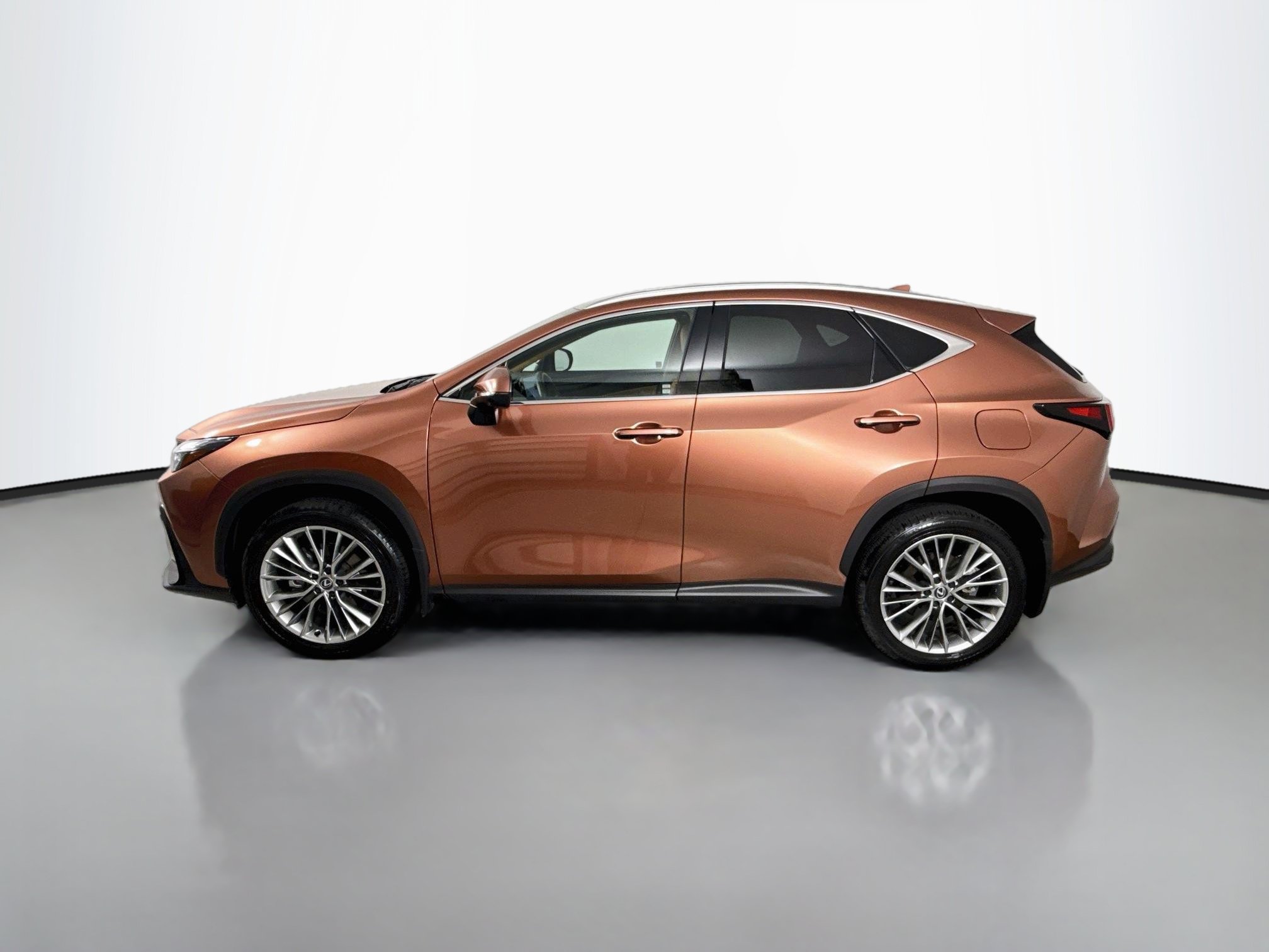Certified 2025 Lexus NX 350h AWD w/ Cold Area Package image 4