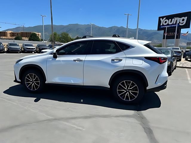 Used 2024 Lexus NX 350h AWD w/ Vision Package image 6