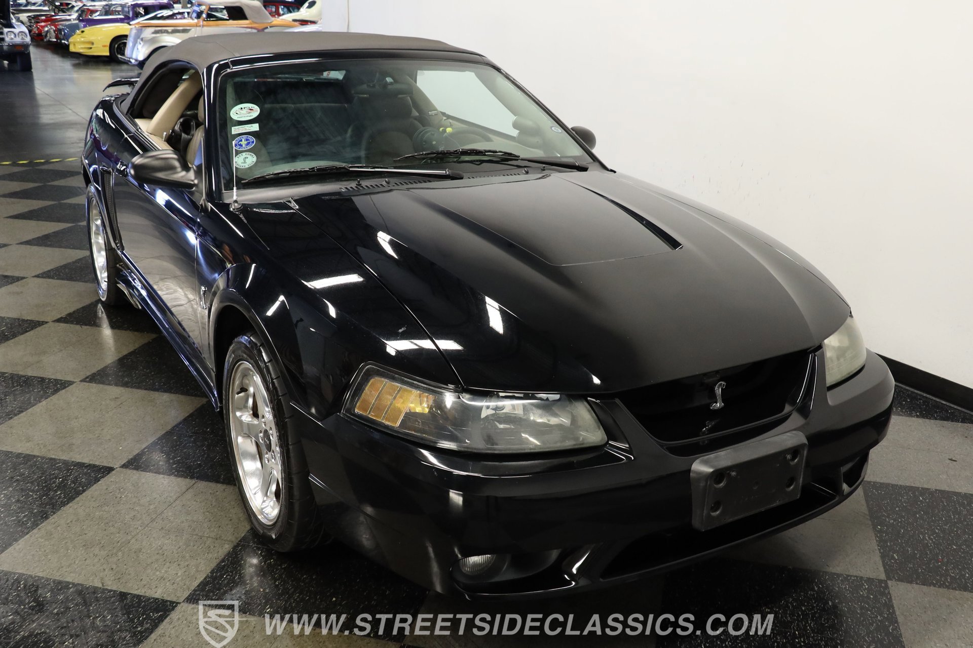 Used 2001 Ford Mustang Cobra image 14