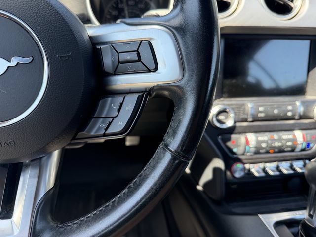 Used 2019 Ford Mustang Premium RWD image 16