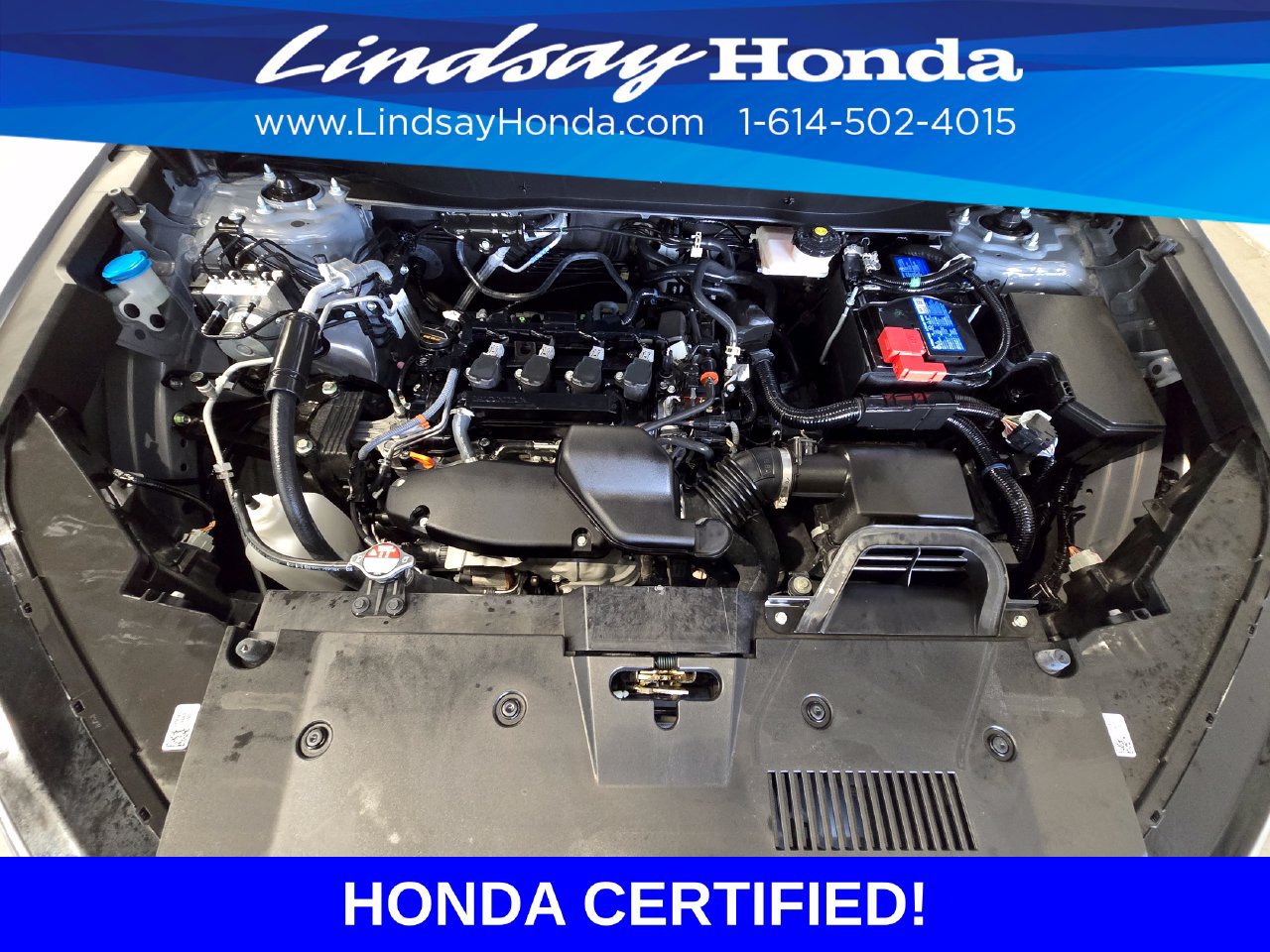Certified 2025 Honda CR-V EX-L image 25