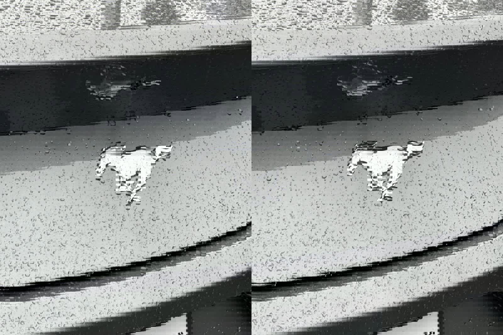 New 2025 Ford Mustang EcoBoost image 26