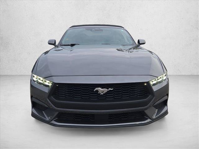 Used 2024 Ford Mustang Premium RWD image 2