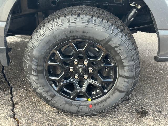 Used 2026 Ford F150 XLT w/ Equipment Group 302A MID image 9