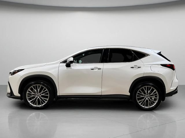 Used 2025 Lexus NX 350h AWD w/ Cold Area Package image 6