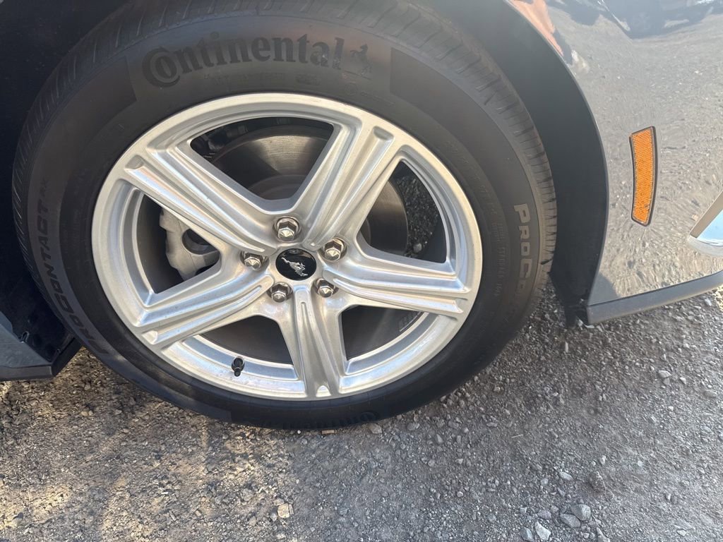 New 2026 Ford Mustang Coupe image 3