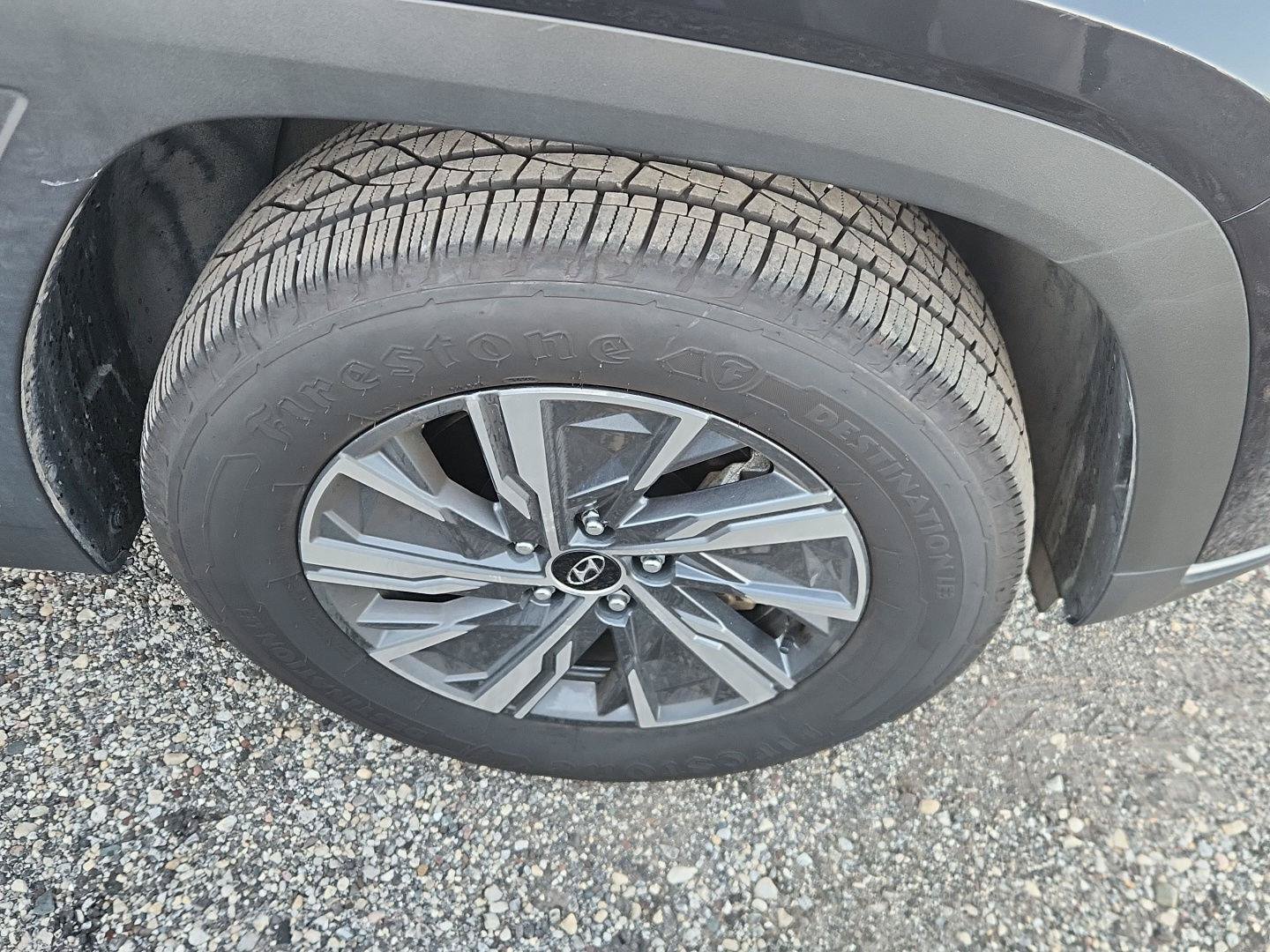 Used 2023 Hyundai Tucson Blue AWD/4WD image 2