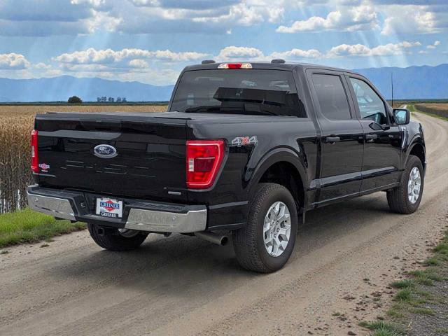Certified 2023 Ford F150 XLT image 6