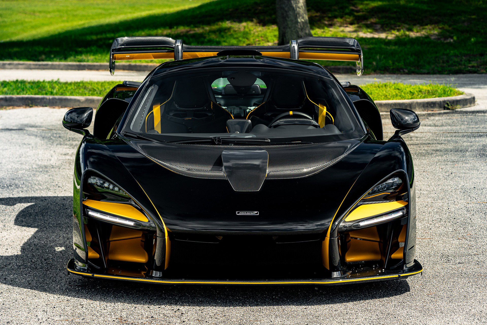 Used 2019 McLaren Senna image 99