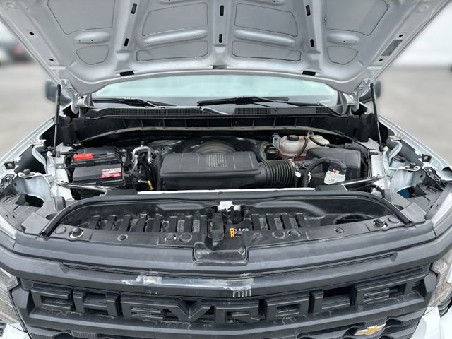 Certified 2024 Chevrolet Silverado 1500 W/T w/ WT Fleet Convenience Package image 19