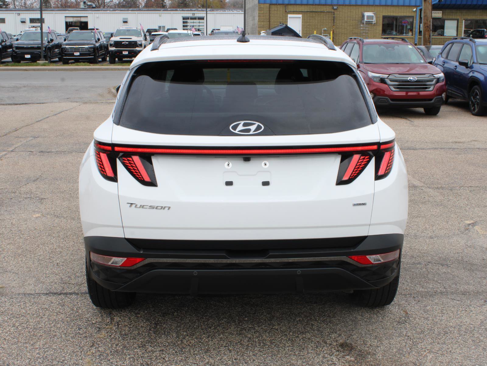 Used 2024 Hyundai Tucson Limited image 6