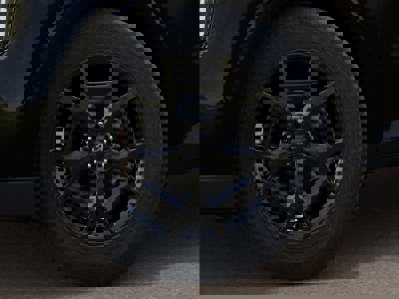 New 2025 Kia Carnival SX Prestige image 9