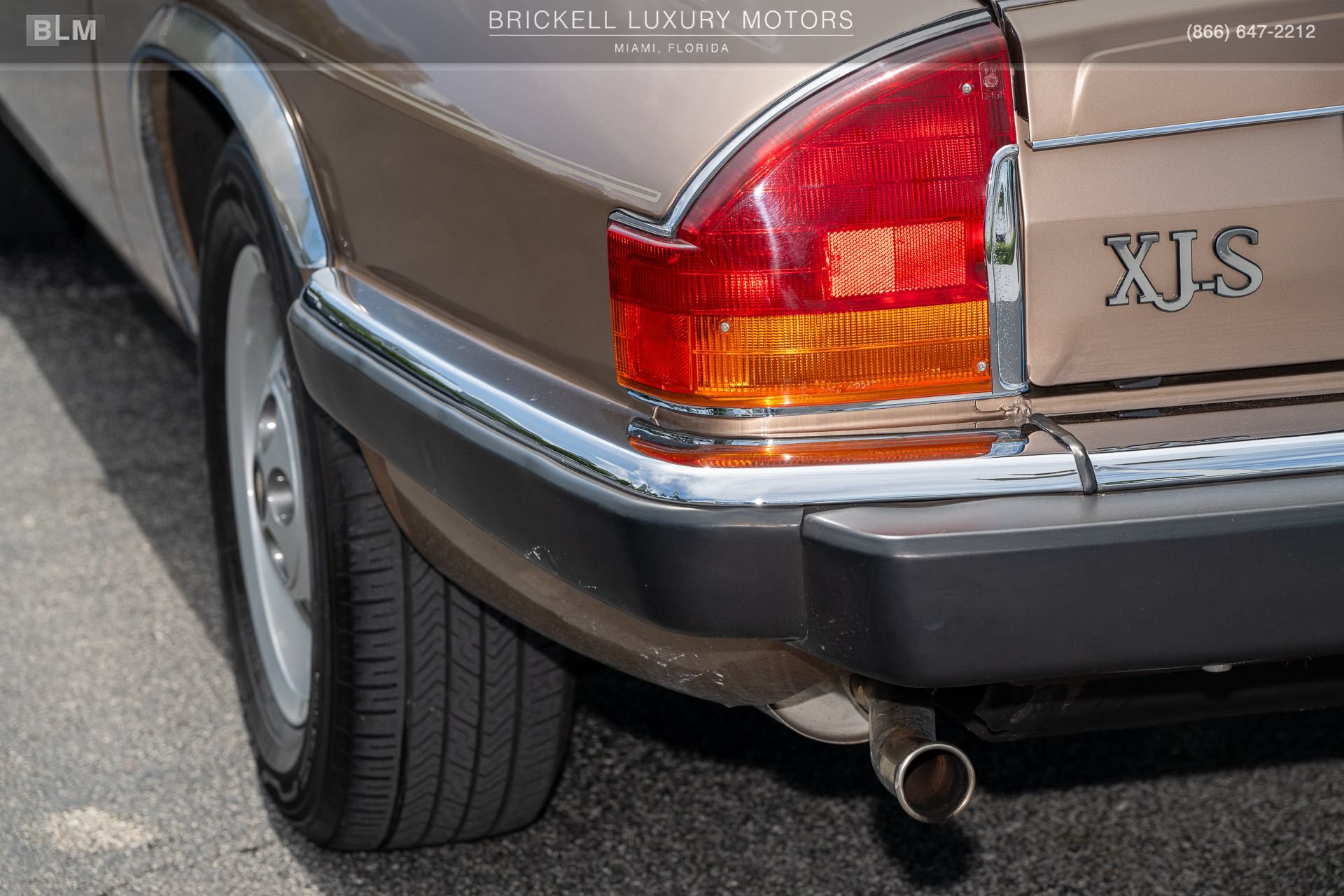 Used 1987 Jaguar XJS V12 Coupe RWD image 50