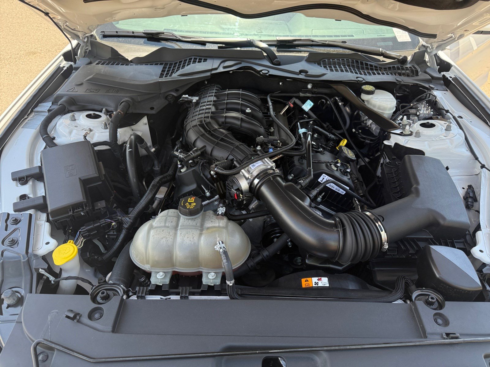 Used 2017 Ford Mustang Convertible RWD image 20