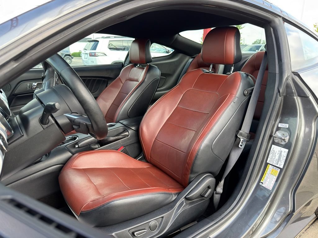 Used 2015 Ford Mustang Premium w/ Equipment Group 201A RWD image 12
