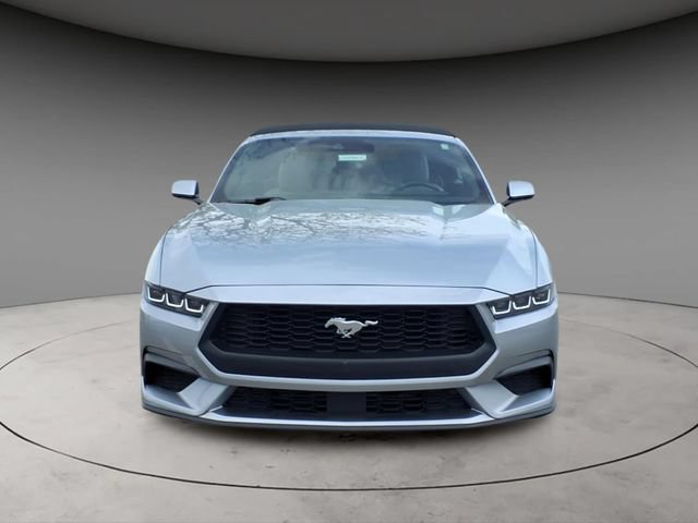 Used 2024 Ford Mustang Premium RWD image 14