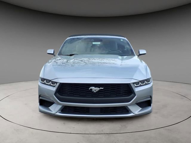 Used 2024 Ford Mustang Premium image 14