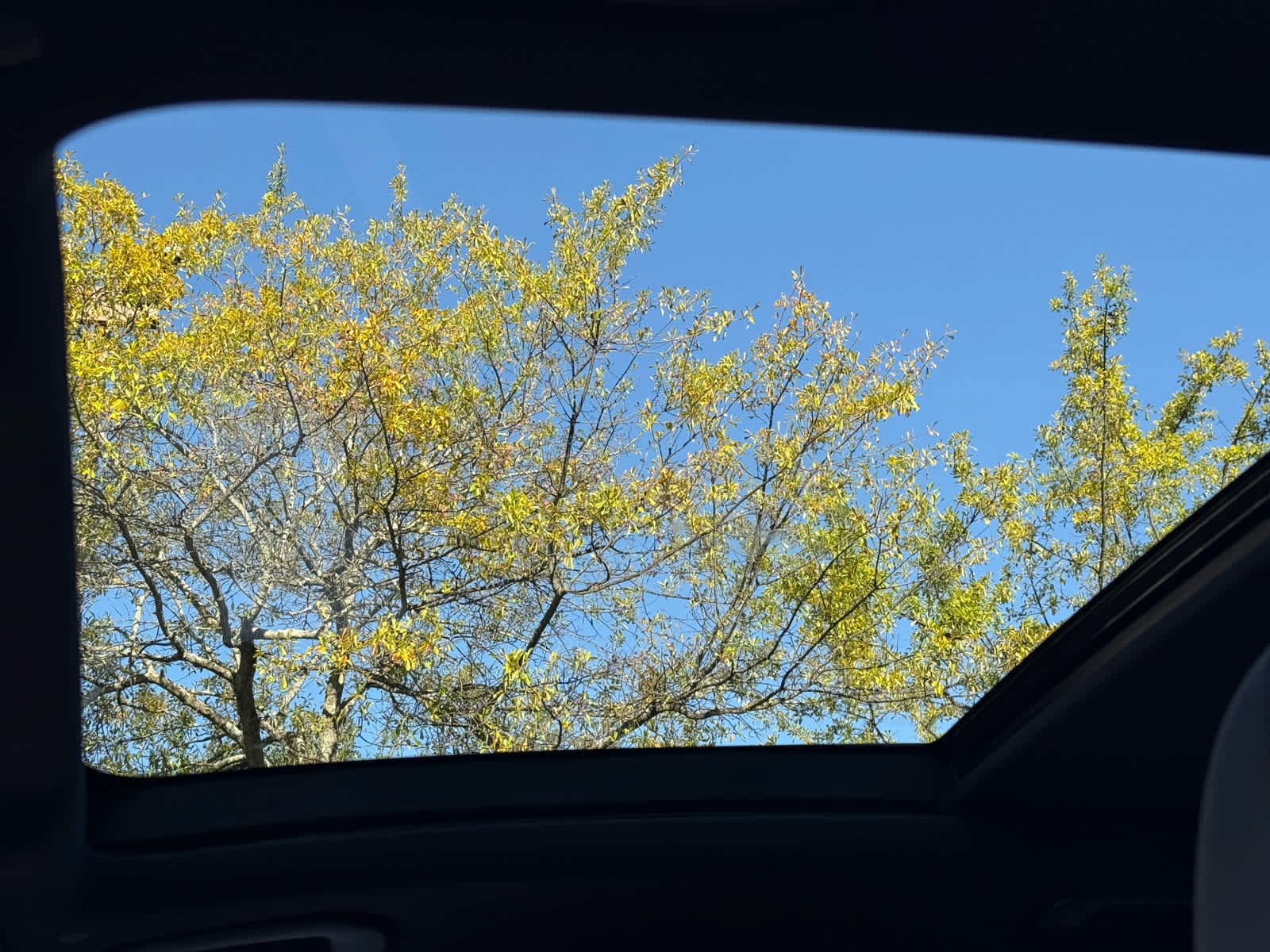 New 2026 Mercedes-Benz GLE 53 AMG 4MATIC image 31