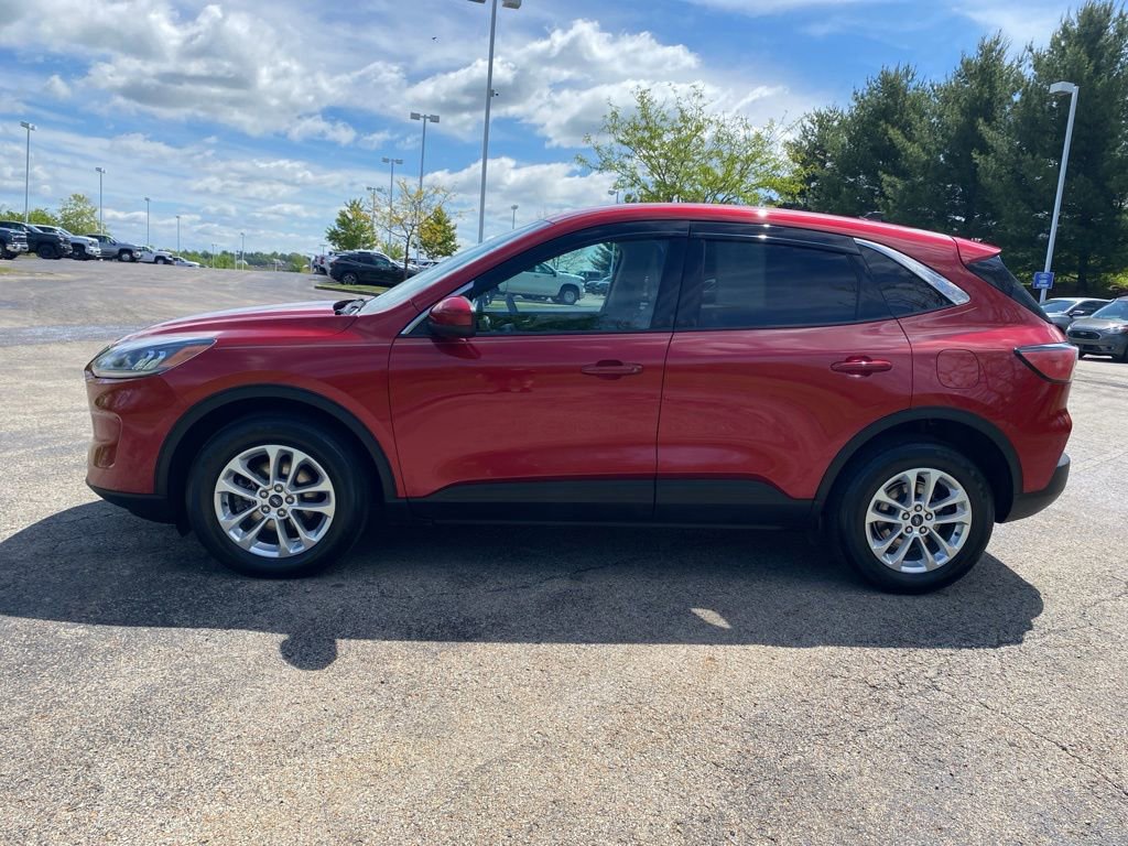 Used 2020 Ford Escape SE AWD/4WD image 6