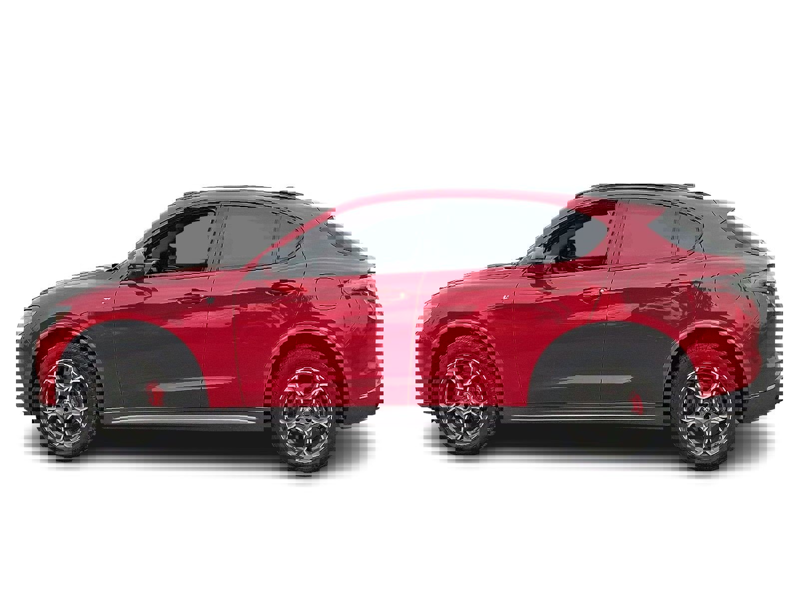 Used 2024 Alfa Romeo Stelvio Ti image 4