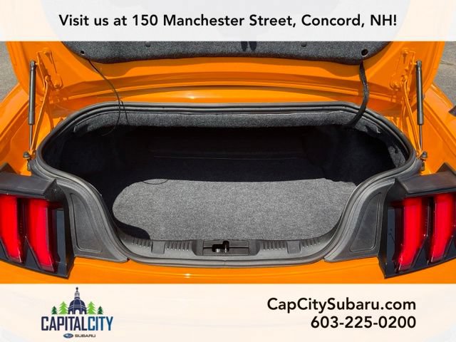 Used 2019 Ford Mustang Premium w/ Equipment Group 201A RWD image 14