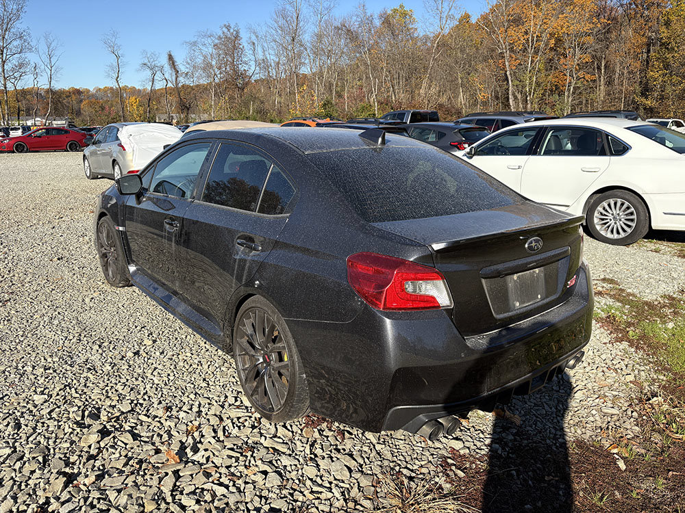 Used 2019 Subaru WRX STI Limited AWD/4WD image 3