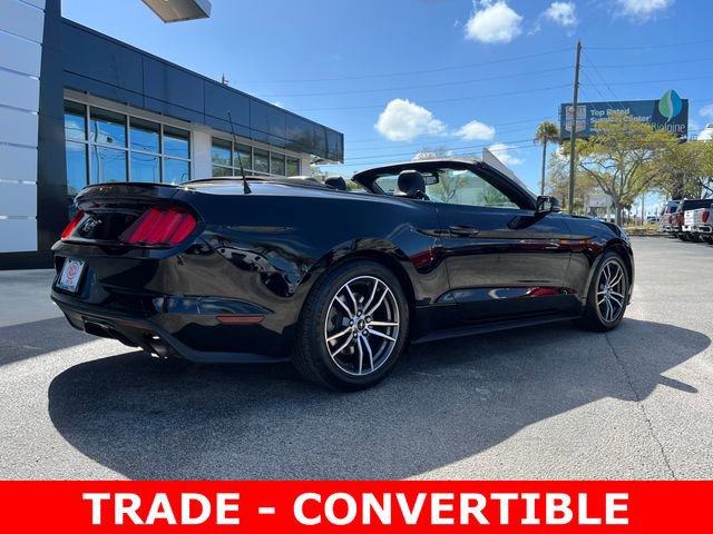 Used 2017 Ford Mustang Premium image 7