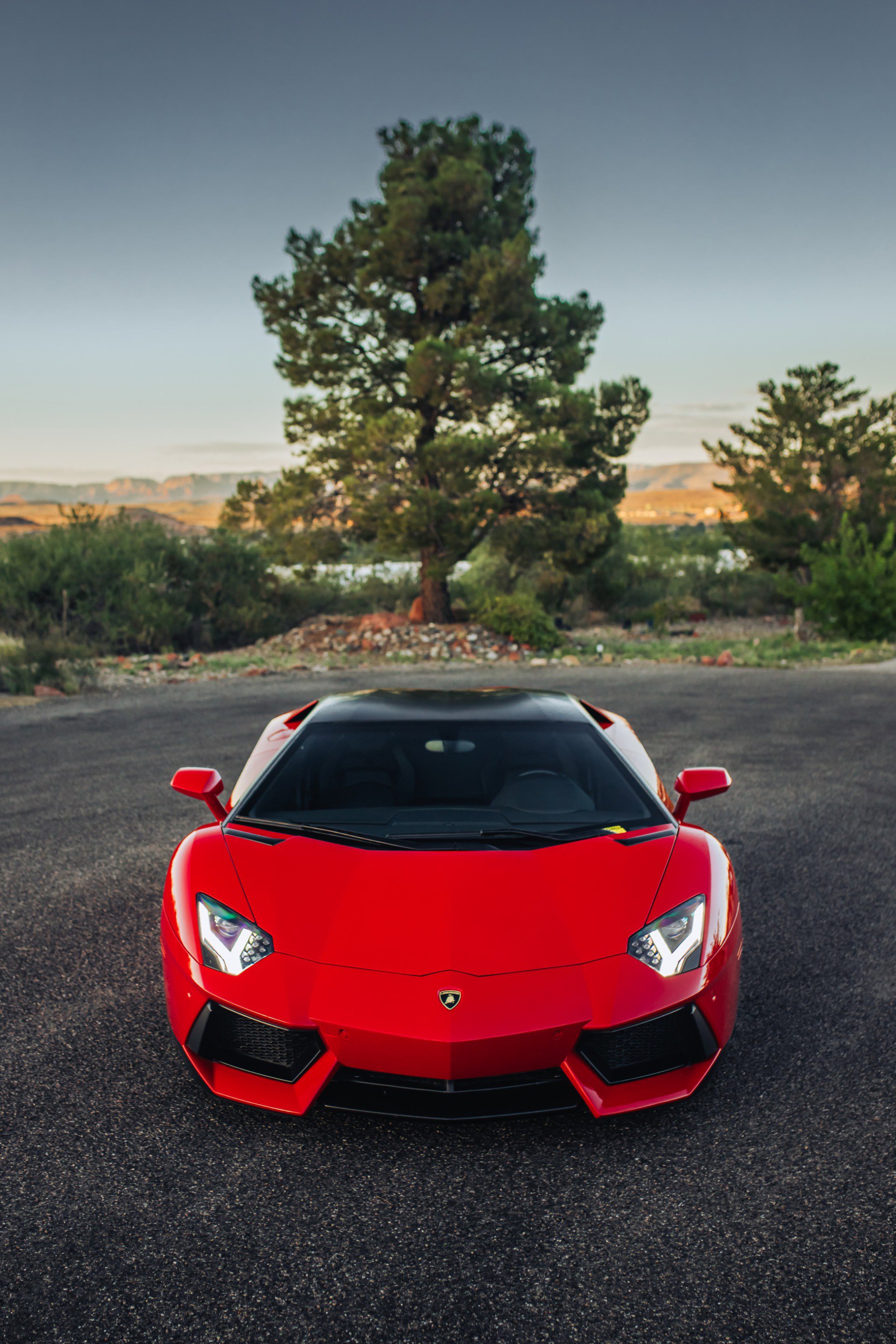 Used 2013 Lamborghini Aventador LP 700-4 image 7
