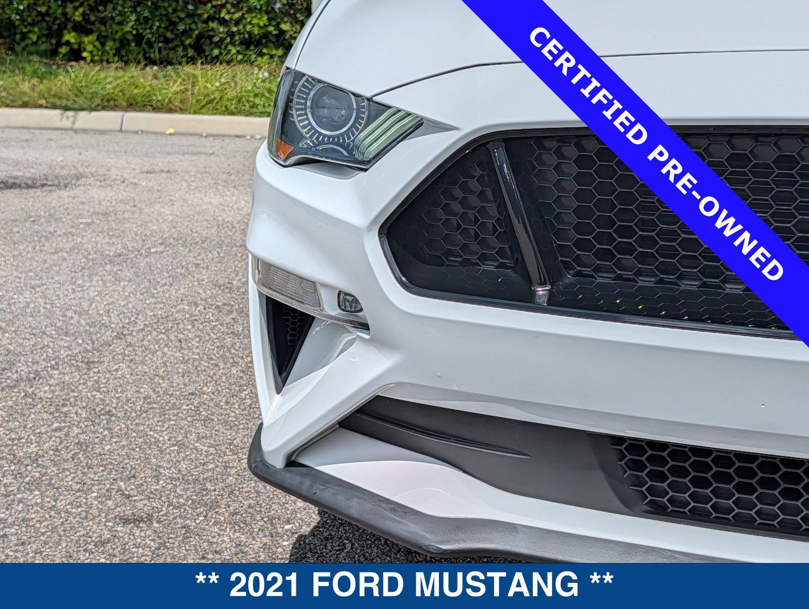Certified 2021 Ford Mustang GT Premium w/ Equipment Group 401A RWD image 10